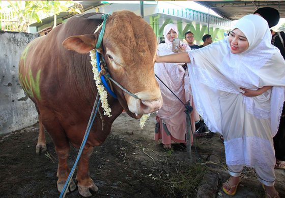 Hukum kurban bila terjadi perbedaan hari raya Idul Adha